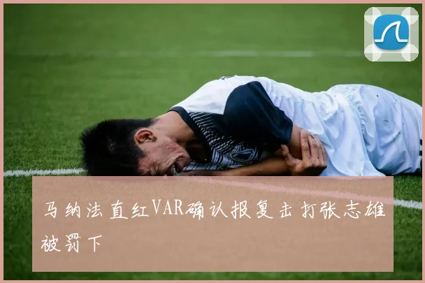 马纳法直红VAR确认报复击打张志雄被罚下
