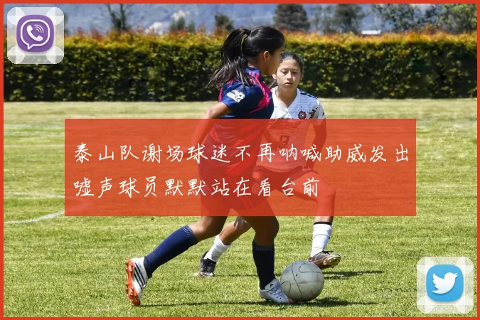 泰山队谢场球迷不再呐喊助威发出嘘声球员默默站在看台前